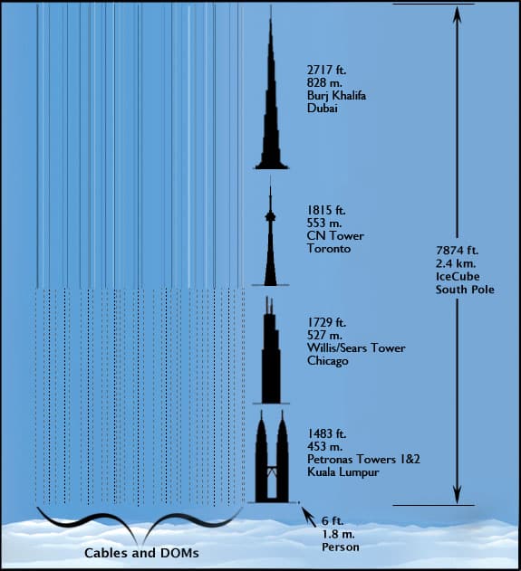 IceCube in Scale: The dashed lines above represent the portion of the cables that have DOMs attached