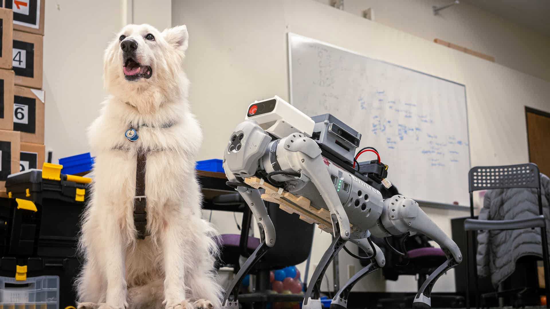 Robotic Guide Dogs For The Visually Impaired Ppi Robotic Guide Dogs For The Visually Impaired Ppi